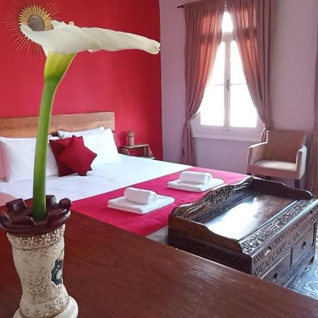 Kosta N'Tina Guest House Lefkáda Zewnętrze zdjęcie